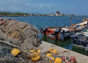 Sucre | Güiria pierde 11 toneladas diarias de pescado por paralización de flota artesanal