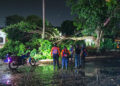 Caída de árbol causa daños materiales en vivienda de El Tigre