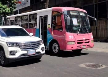 La ministra que no saneó el Guaire ahora promete revisar las tarifas del pasaje urbano
