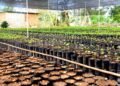 Asoprocave presentó ante organismo internacional una solicitud de financiamiento para el Plan Vivero