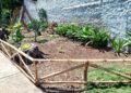 Realizan despliegue de ornato y saneamiento de espacios en la zona urbana de Carúpano