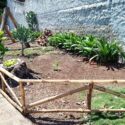 Realizan despliegue de ornato y saneamiento de espacios en la zona urbana de Carúpano