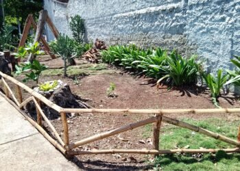 Realizan despliegue de ornato y saneamiento de espacios en la zona urbana de Carúpano