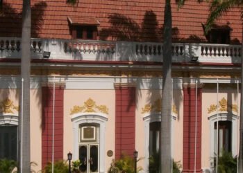Gobierno interino lamentó fallecimiento de Carmen Navas y dice que informará sobre lo sucedido con su hijo