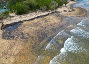 Gobierno despliega operativo en Güiria para monitorear derrame de hidrocarburos en el Golfo de Paria