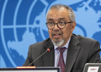 OMS eleva a 12 los casos confirmados de hantavirus tras un nuevo positivo en Países Bajos