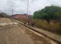 Voz Comunitaria | En Las Flores II de Santa Ana reportan que no llega el agua y los animales andan sueltos en las calles