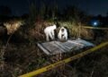 Cuatro personas asesinadas en una masacre en la ciudad colombiana de Cúcuta