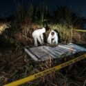 Cuatro personas asesinadas en una masacre en la ciudad colombiana de Cúcuta