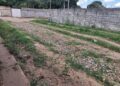 El Tiempo en la calle | Escombros sustituyen al asfalto en calles fracturadas de El Tigre (+Fotos)