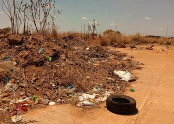 Basura y zamuros abundan en terreno situado detrás del terminal de pasajeros de El Tigre (+Fotos)