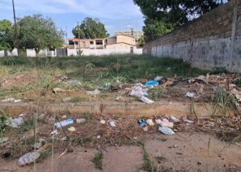 El Tiempo en la calle | Reportan vertederos de basura en varias comunidades de El Tigre (+Fotos)