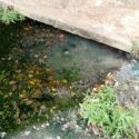 Bote de agua blanca preocupa a residentes de urbanización Rahme de El Tigre (+Fotos)