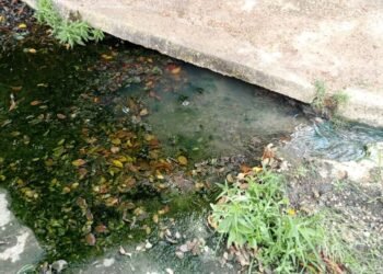 Bote de agua blanca preocupa a residentes de urbanización Rahme de El Tigre (+Fotos)