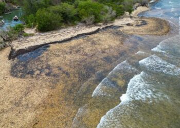 Cámara de Comercio de Cumaná plantea que se exija una indemnización extraterritorial por derrame de crudo en Paria