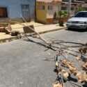 Cierre de la avenida Carúpano genera malestar entre habitantes de Cumaná