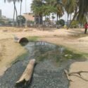 Ambientalista denunció "ecocidio sistemático" en la Bahía de Pozuelos (+Video)