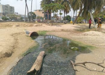 Ambientalista denunció "ecocidio sistemático" en la Bahía de Pozuelos (+Video)