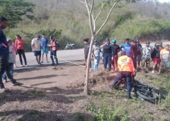 Sucre | Motorizado perdió la vida al impactar contra un árbol en el sector El Indio del municipio Andrés Mata