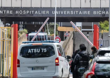 El hantavirus de la francesa que dio positivo es de las cepas conocidas en Sudamérica