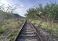 El tren que no llega: Obras inconclusas sentencian el transporte Ferroviario en Barquisimeto 