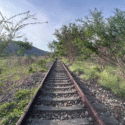 El tren que no llega: Obras inconclusas sentencian el transporte Ferroviario en Barquisimeto 