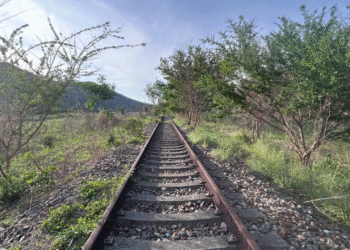 El tren que no llega: Obras inconclusas sentencian el transporte ferroviario en Barquisimeto 