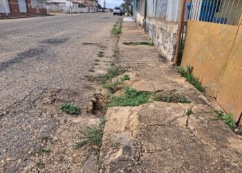 Peatones corren riesgo por socavaciones y tanquillas destapadas en calle de El Tigre (+Fotos)