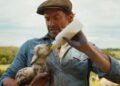 'The Sheep Detectives', cuando un crimen une a un rebaño para impartir justicia
