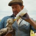 'The Sheep Detectives', cuando un crimen une a un rebaño para impartir justicia