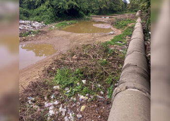 Denuncian que vía rural entre Las Piñas y el vertedero, en Aragua, está en pésimo estado
