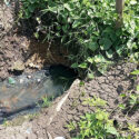 En el sector Las Piñas de Aragua "corre un río de aguas de cloacas"