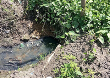 En el sector Las Piñas de Aragua "corre un río de aguas de cloacas"