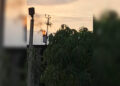 Explosión de transformador dejó sin luz a varias familias en Las Casitas