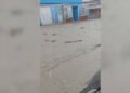 Más de 100 familias quedaron damnificadas por inundaciones en Portuguesa tras intensas lluvias