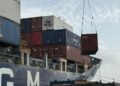 Isla de Margarita consolida sus exportaciones con el envío de algas a Europa y Suramérica