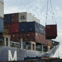 Isla de Margarita consolida sus exportaciones con el envío de algas a Europa y Suramérica