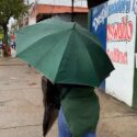 Tigrenses dejan de lado las hierbas para combatir cuadros virales por lluvias