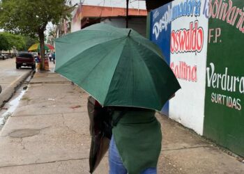 Tigrenses dejan de lado las hierbas para combatir cuadros virales por lluvias