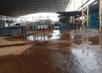 Vocero: "En el mercado, cuando llueve, el agua nos llega a los tobillos"