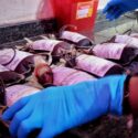 Banco de Sangre del hospital de Carúpano realizará actividades en la semana de la donación de sangre
