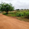 Voz Comunitaria | Calles sin asfaltar y basura afectan a sector 12 de Octubre en El Tigre (+Fotos)