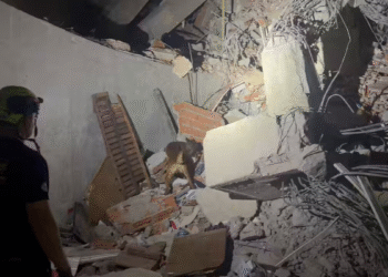 Equipos de rescate de EE. UU. destacan el papel de los perros de búsqueda en las labores para localizar sobrevivientes en Venezuela