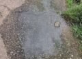 Voz Comunitaria | En Pueblo Nuevo Norte de El Tigre padecen por aguas servidas y problemas con aseo (+Fotos)