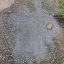 Voz Comunitaria | En Pueblo Nuevo Norte de El Tigre padecen por aguas servidas y problemas con aseo (+Fotos)