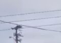 Reportan despliegue militar y desalojos en zonas mineras de El Callao