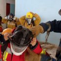 Nueva brigada de 12 bomberos de Bermúdez partió hacia la “Zona 0” de los terremotos para reforzar labores de rescate