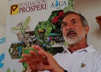 Esperan respuestas de la gobernadora Carrillo sobre plan de tres fases para levantar la producción de cacao