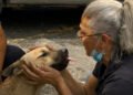 Milo, el perrito sin entrenamiento que encontró a tres víctimas de los terremotos