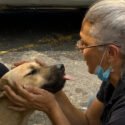 Milo, el perrito sin entrenamiento que encontró a tres víctimas de los terremotos
